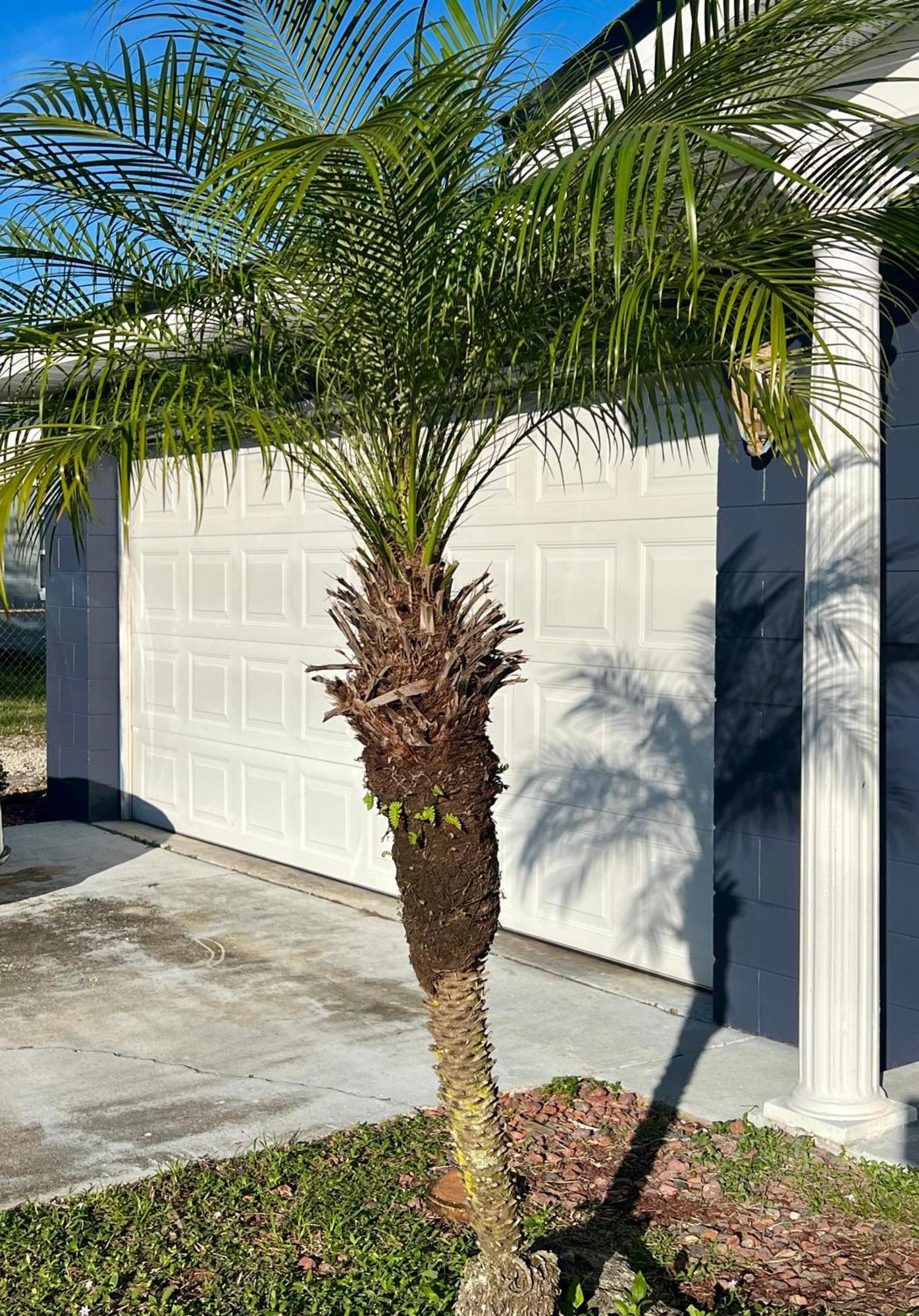 Pool House Oasis Titusville Exterior foto